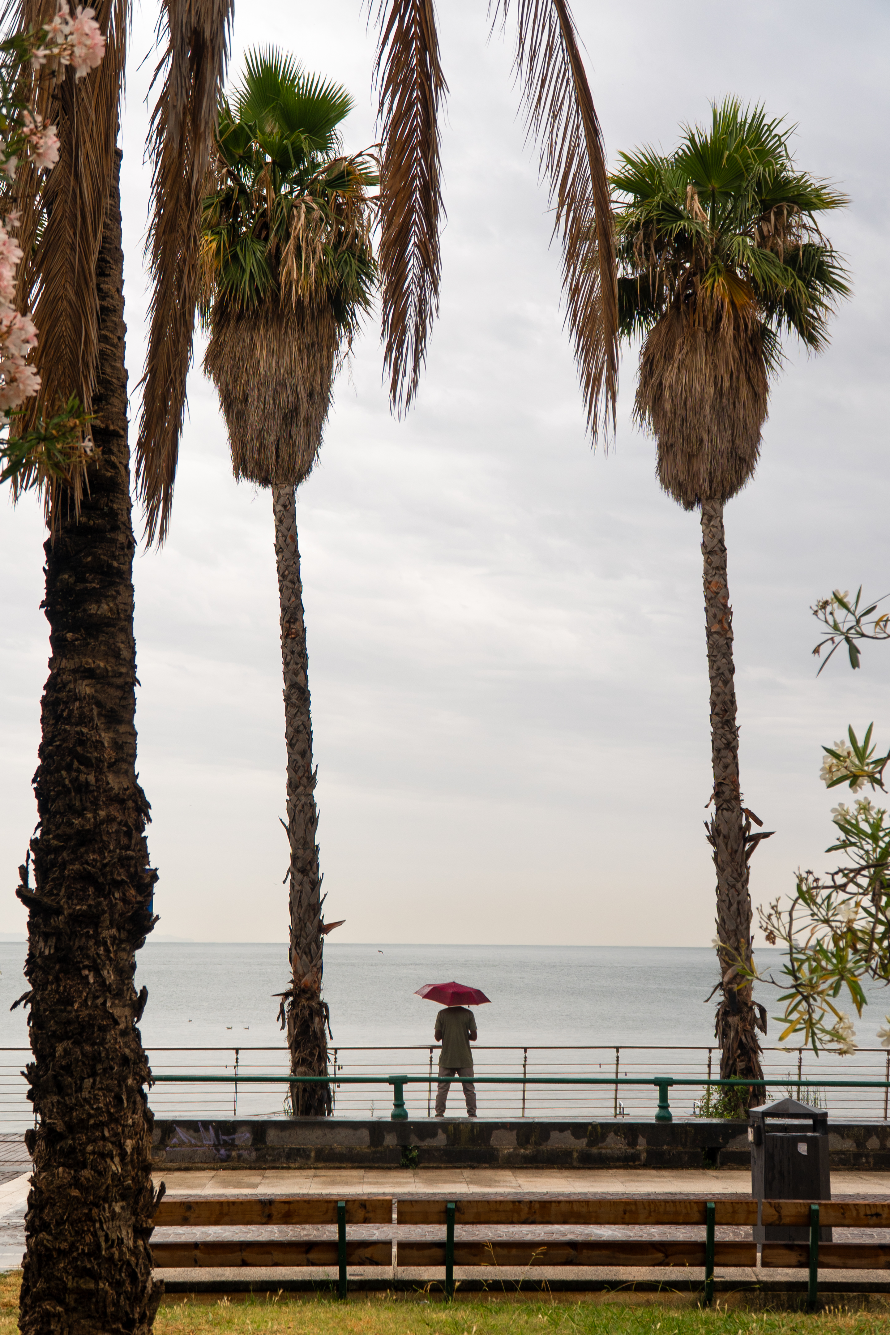 Salerno 7