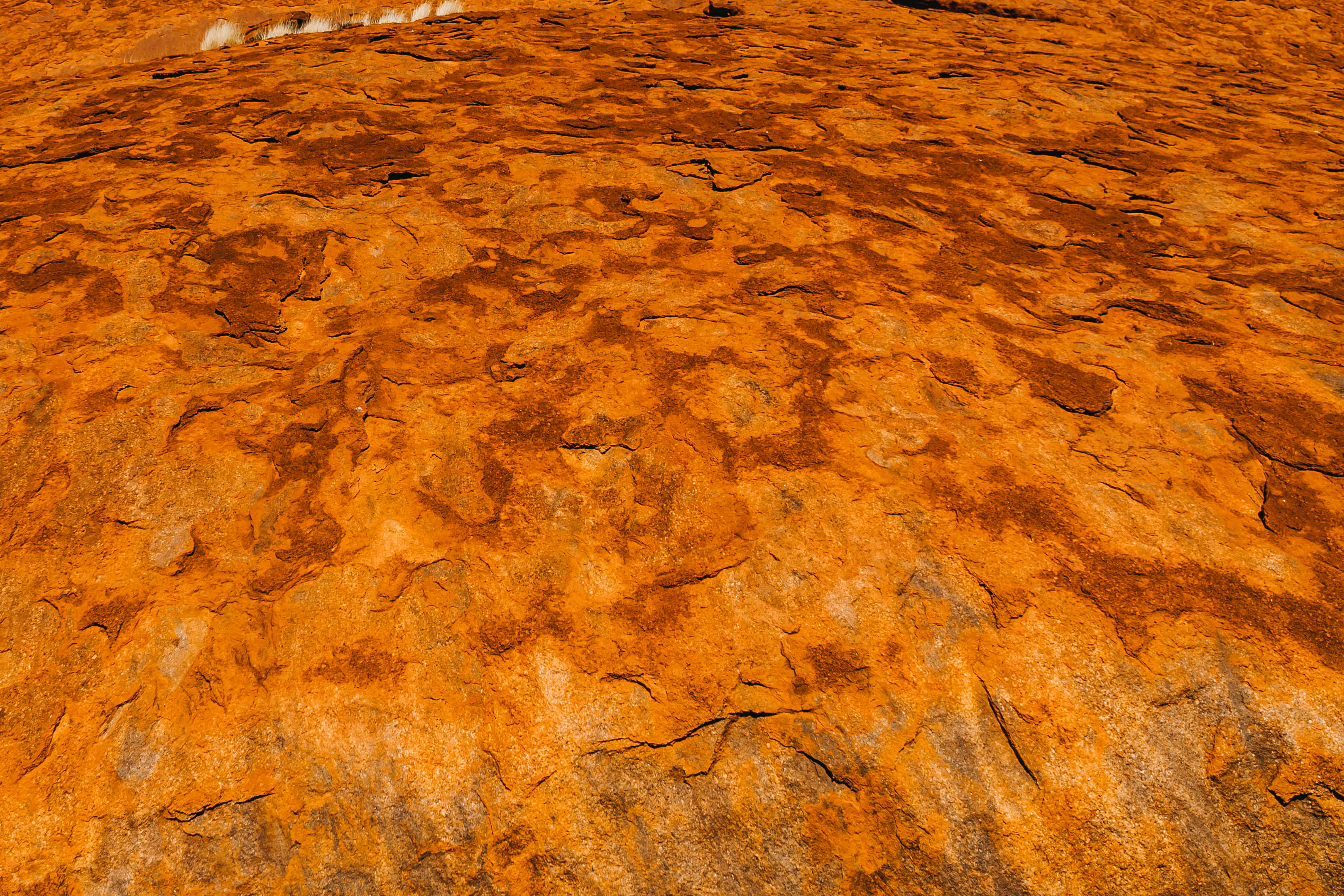 NT48