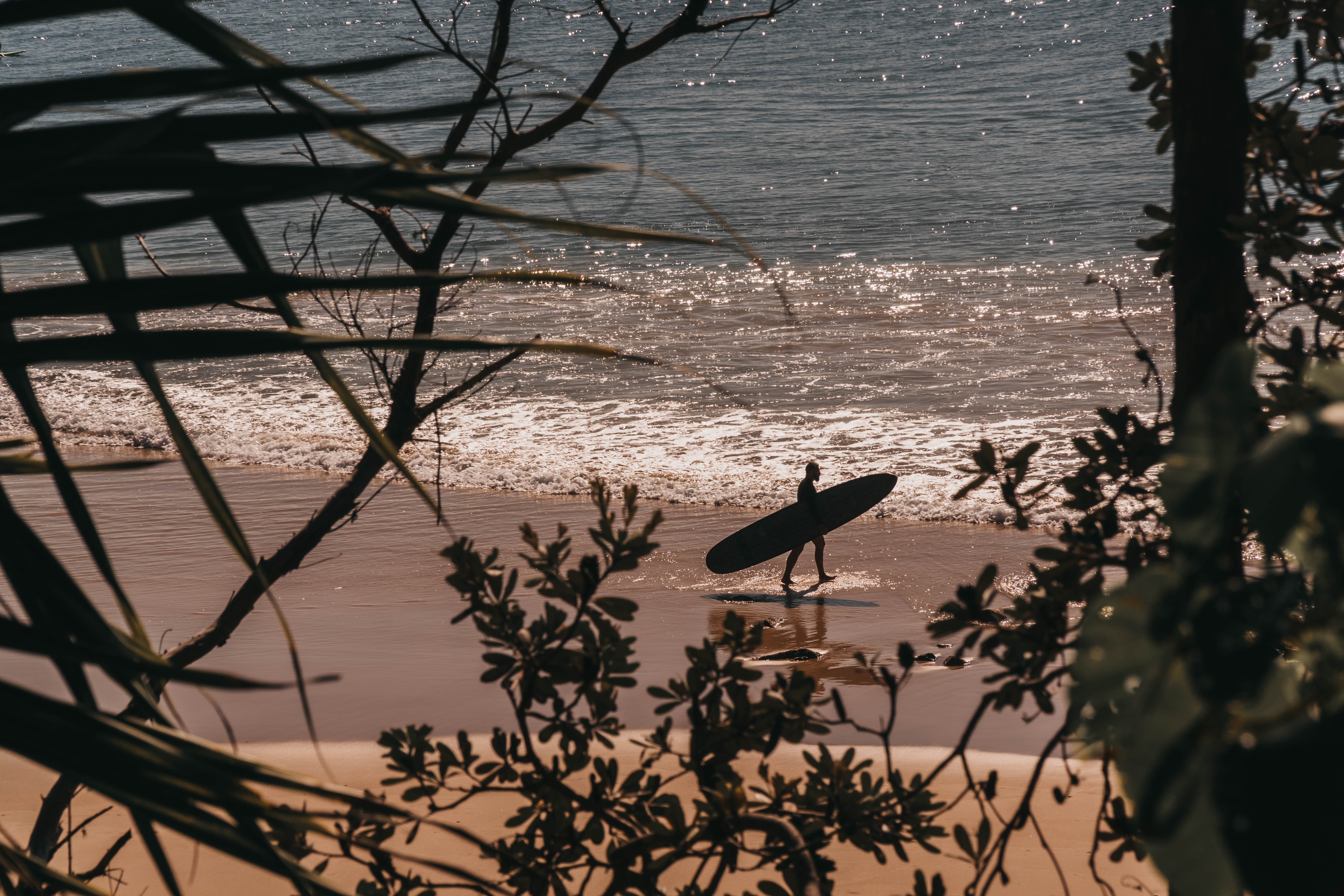 Noosa14